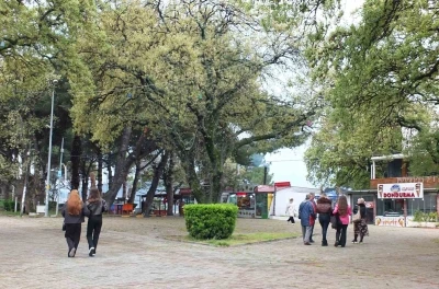Burhaniye&rsquo;de tescilli tarihi meşeler &Ouml;ren&rsquo;e g&uuml;zellik katıyor
