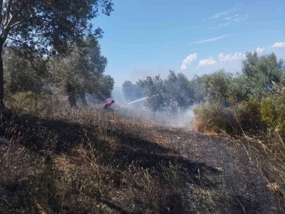 Burhaniye&rsquo;de zeytinlik yangınına havadan ve karadan m&uuml;dahale ediliyor
