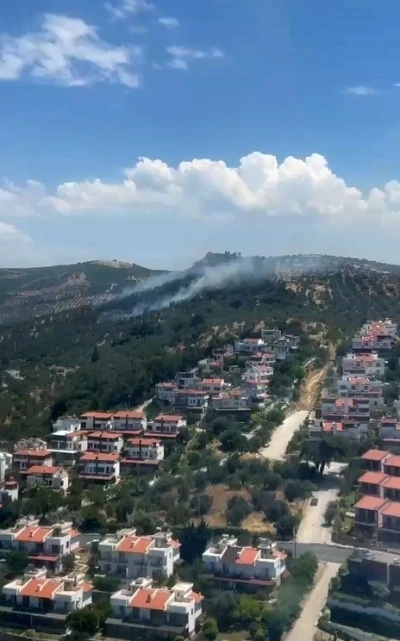 Burhaniye&rsquo;deki zeytinlik yangını kontrol altına alındı
