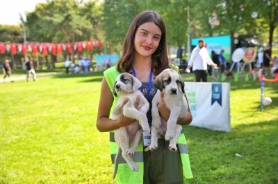 Bursa B&uuml;y&uuml;kşehir Belediyesi patili dostların yanında
