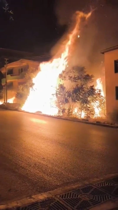 Bursa’da alev alan ağaçlar villaları böyle tehdit etti
