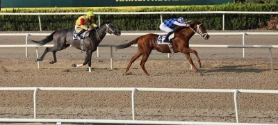 Bursa’da Büyükşehir Başkanlık koşusu
