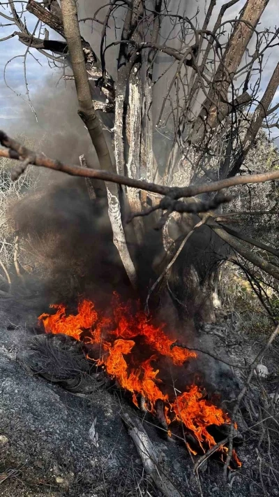 Bursa&rsquo;da &ccedil;ıkan &ccedil;alı yangını b&uuml;y&uuml;meden s&ouml;nd&uuml;r&uuml;ld&uuml;
