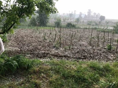 Bursa&rsquo;da dolu&hellip; Keles&rsquo;te tarım arazilerini dolu vurdu
