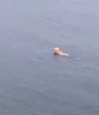 Bursa&rsquo;da dondurucu soğukta deniz keyfi
