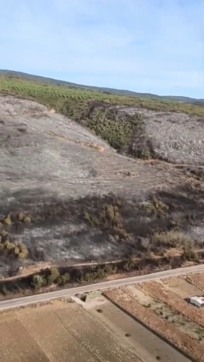 Bursa’da küle dönen ormanlık alan havadan görüntülendi
