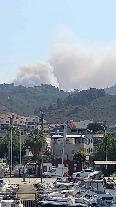 Bursa’da orman yangını
