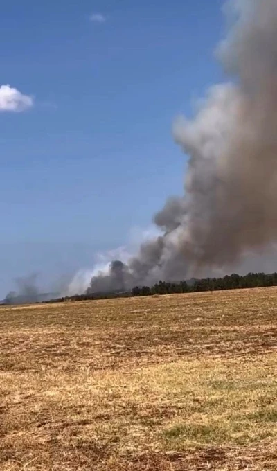 Bursa’da orman yangını, çok sayıda ekip müdahale ediyor
