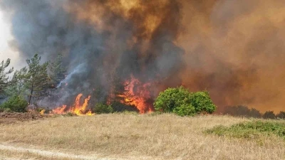 Bursa’da orman yangını kontrol altına alındı
