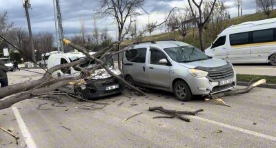 Bursa&rsquo;da seyir halindeki ara&ccedil;ların &uuml;zerine ağa&ccedil; devrildi
