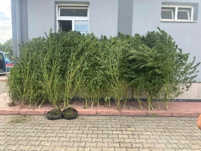 Bursa’da uyuşturucu operasyonu
