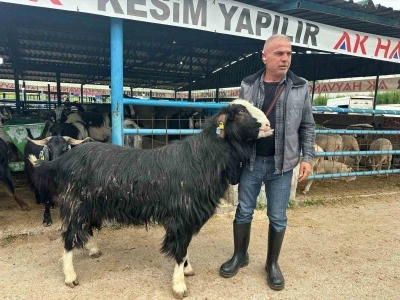 Bursa&rsquo;daki kurban pazarının şampiyon ke&ccedil;isi 47 bin liradan satıldı
