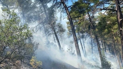 Bursa&rsquo;daki orman yangını s&ouml;nd&uuml;r&uuml;ld&uuml;, soğutma &ccedil;alışmaları s&uuml;r&uuml;yor

