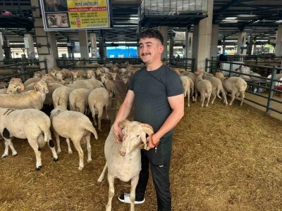 Bursa&rsquo;daki sıra dışı "gergedan boynuz"lu ko&ccedil; g&ouml;renleri şaşırtıyor
