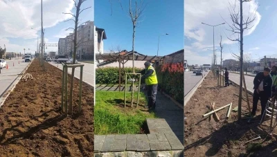 Bursa&rsquo;nın 700 yıllık mirası 700 &ccedil;ınarla k&ouml;k salıyor

