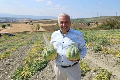 Bursa’nın ünlü Konaklı kavununda üretim iki kat arttı
