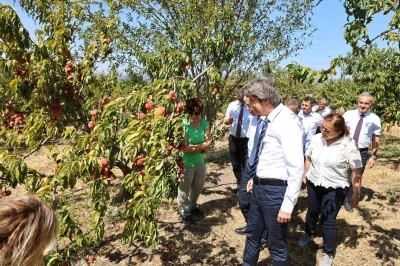 BU&Uuml;, ziraat ve ormancılık alanında d&uuml;nyada ilk 500&rsquo;de
