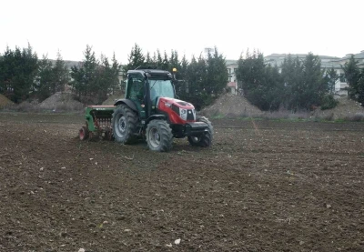 Büyükçekmece’de atıl araziler buğdayla buluştu
