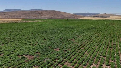 Büyükşehir, akıllı sulama sistemlerini Nurdağı ve İslahiye’de hayata geçirdi
