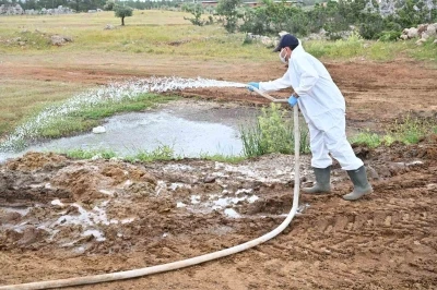 B&uuml;y&uuml;kşehir&rsquo;den kurban satış alanlarında ila&ccedil;lama
