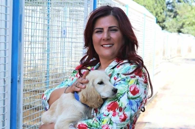 Büyükşehir’den sokak hayvanları için 244 bin metrekarelik yaşam alanı
