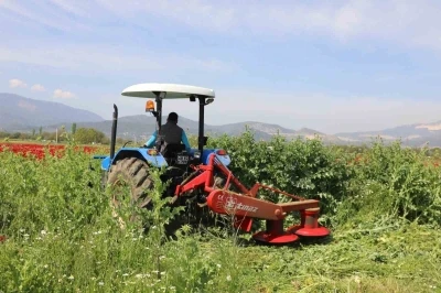 Büyükşehir’den üreticilere ücretsiz yem bitkisi tohumu desteği
