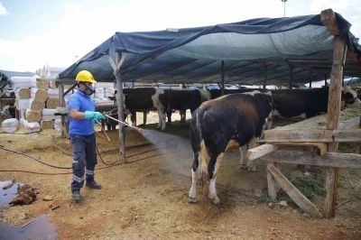 B&uuml;y&uuml;kşehirden 6 farklı noktada &uuml;cretsiz kurban kesim hizmeti
