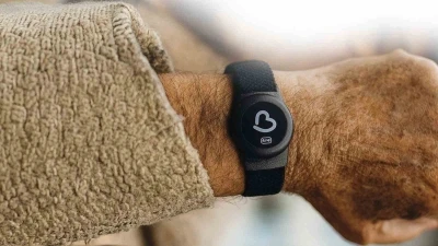 Büyükşehirden Alzheimer, Demans ve Otizm hastalarına &quot;Akıllı Takip Cihazı Desteği&quot;
