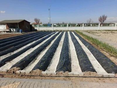 B&uuml;y&uuml;kşehirin Doğal &Uuml;r&uuml;nler Bah&ccedil;esi ve Pazarı&rsquo;nda yeni sezon hazırlığı
