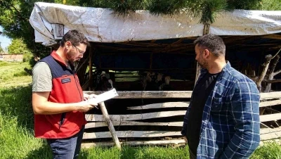 Buzağı kayıplarının &ouml;nlenmesi i&ccedil;in eğitim &ccedil;alışması s&uuml;r&uuml;yor
