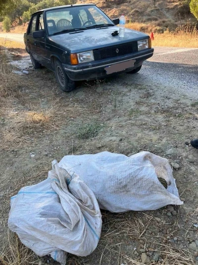 Çam fıstığı hırsızları jandarmaya yakalandı
