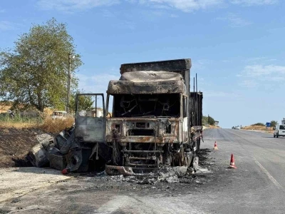 Çamaşır makinesi yüklü tır alev topuna döndü
