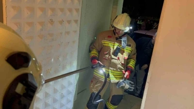 Camide g&ouml;r&uuml;len yılan yakalandı
