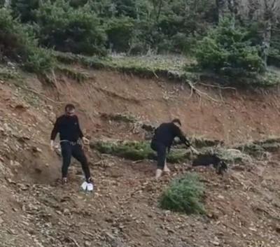 &Ccedil;amura saplanan ke&ccedil;i son anda kurtarıldı
