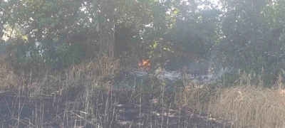 &Ccedil;an&rsquo;da tarla yangınında 2 ekili alan k&uuml;l oldu
