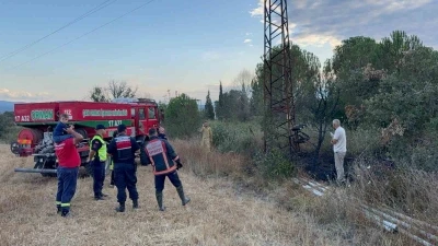 &Ccedil;an&rsquo;daki yangın ormana sı&ccedil;ramadan s&ouml;nd&uuml;r&uuml;ld&uuml;
