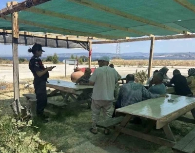 &Ccedil;anakkale&rsquo;de 260 jandarma personeli ile g&ouml;&ccedil;men ka&ccedil;ak&ccedil;ılığı denetimi
