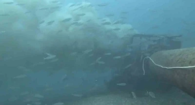 Çanakkale’de boğaza dökülen atık su ile karşılaşan dalgıç, o anları su altı kamerasıyla kaydetti
