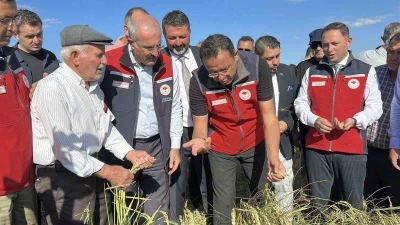 Çanakkale’de damla sulamayla yetiştirilen çeltiklerde hasat zamanı
