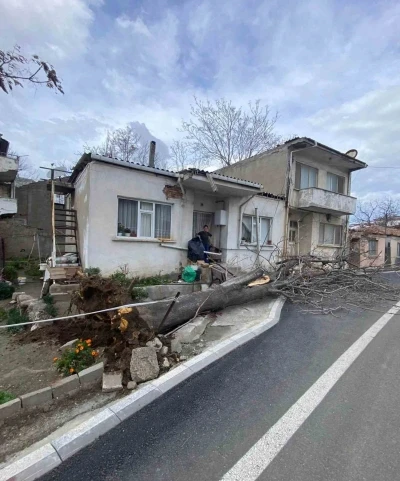 &Ccedil;anakkale&rsquo;de lodos fırtınasında devrilen ağa&ccedil; evin &ccedil;atısına zarar verdi
