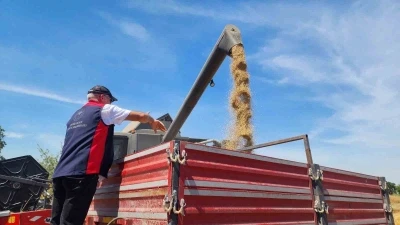 &Ccedil;anakkale&rsquo;de meralar g&uuml;&ccedil;leniyor
