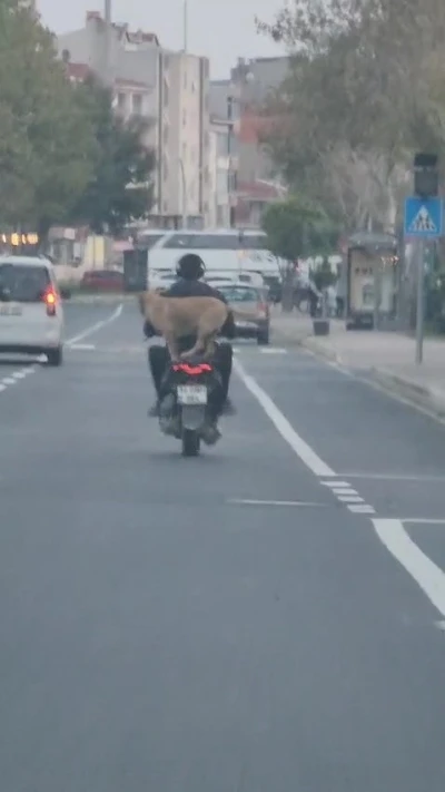 Çanakkale’de motor artçısı görenleri hem şaşırttı hem neşelendirdi
