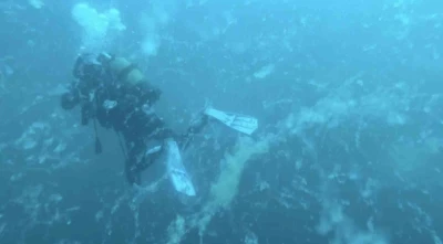 Çanakkale’de müsilaj alarmı
