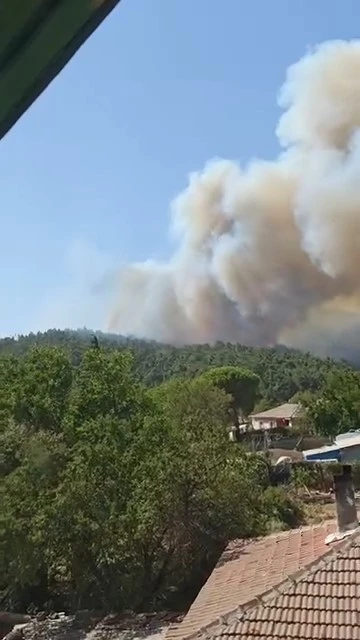 Çanakkale’de orman yangını
