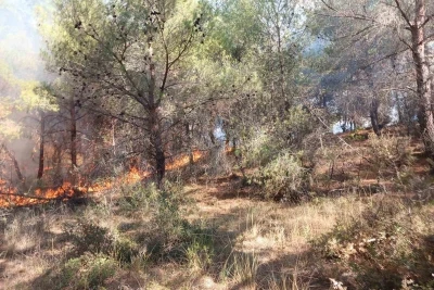 Çanakkale’de ormanlık alanda çıkan yangın kontrol altına alındı
