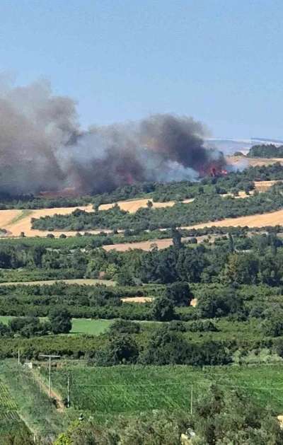 Çanakkale’de tarım arazisinde başlayan yangın ormanlık alana sıçradı
