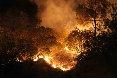 Çanakkale’de yangın etkisini sürdürüyor... Ekiplerin müdahalesi gece de sürüyor
