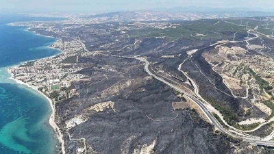 Çanakkale’de yangından geriye bu acı tablo kaldı
