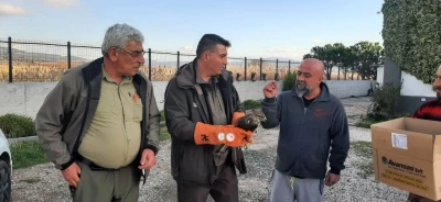 &Ccedil;anakkale&rsquo;de yaralı şahin koruma altına alındı
