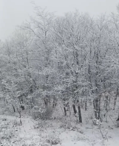 &Ccedil;anakkale&rsquo;de y&uuml;ksek kesimler beyaza b&uuml;r&uuml;nd&uuml;
